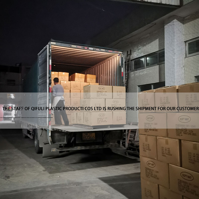 Huizhou Qifuli Plastic Products Co.